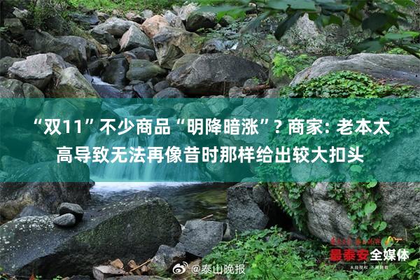 “双11”不少商品“明降暗涨”? 商家: 老本太高导致无法再